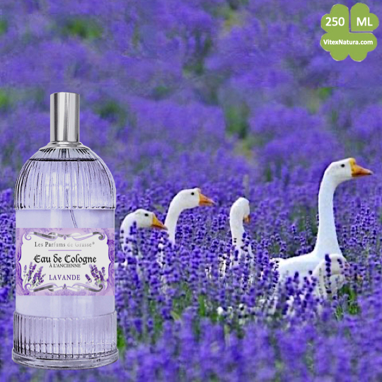 Eau de Cologne à l'Ancienne lavendel 10x250ml