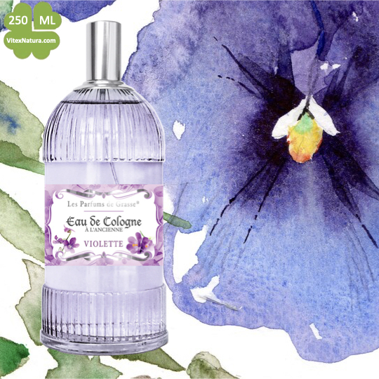 Eau de Cologne à l'Ancienne Veilchen 10x250ml