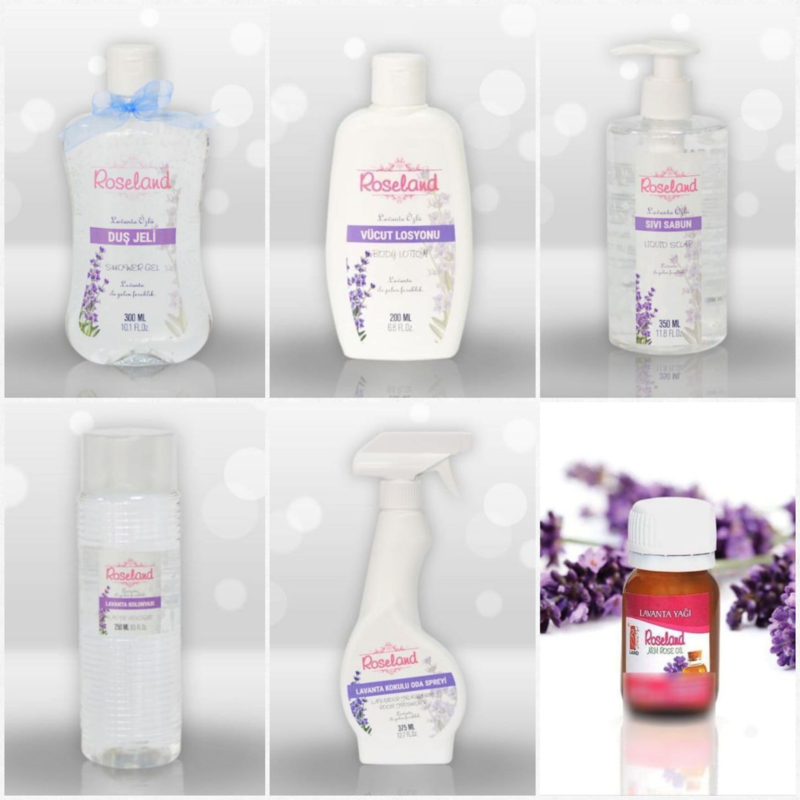 Isparta Lavendel Sortiment Starterpaket
