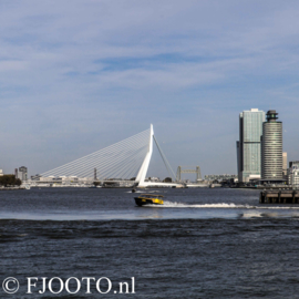 Rotterdam Erasmusbrug vierkant (Souvenir)