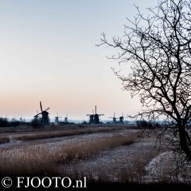 Kinderdijk 3 (Souvenir)