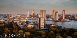 Rotterdam Erasmusbrug panorama 7 (Souvenir)