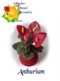 Workshop Anthurium