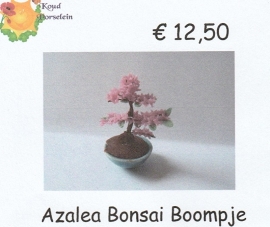 Workshop Bonsai Boompje