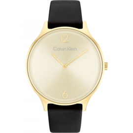 Calvin Klein Timeless  25200008 horloge 38mm