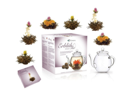 Theebloemen Cadeauset - zwarte thee