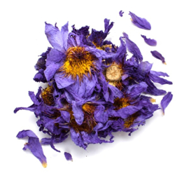 Blauwe Lotus thee - Blue Lotus tea - Hele Lotusbloemen