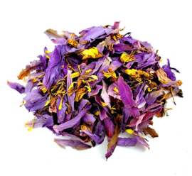 Blauwe Lotus thee - Blue Lotus tea - Lotusbloem