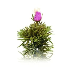 Theebloemen witte thee Bulk - 72 stuks - Theebloemen Grootverpakking