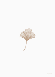 Inkylines Gingko A4 print