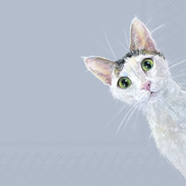 Papieren servetten Cat Stella