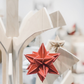 Lovi Star houten ster kaart - Large - diverse kleuren