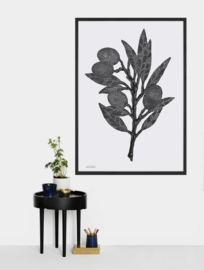 Monika Petersen Lino Print Olive Branch poster z/w 50x70 cm