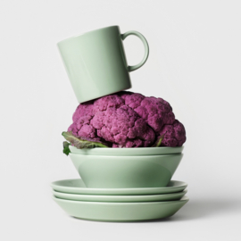 Iittala Teema Mug 0,3L Sage