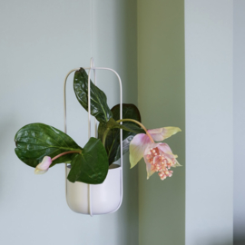 Hübsch Lotus hangende bloempot Lichtgrijs
