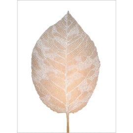 Monika Petersen Lino Print Birch Leaf Gold/White 50x70 cm