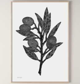 Monika Petersen Lino Print Olive Branch poster z/w 50x70 cm
