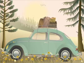 Vissevasse poster VW Beetle Green - 3 maten