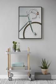 Vissevasse poster Racing Bicycle - 3 maten