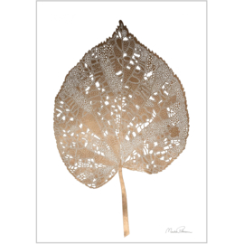 Monika Petersen Mini Art Print Giant Leaf - A5