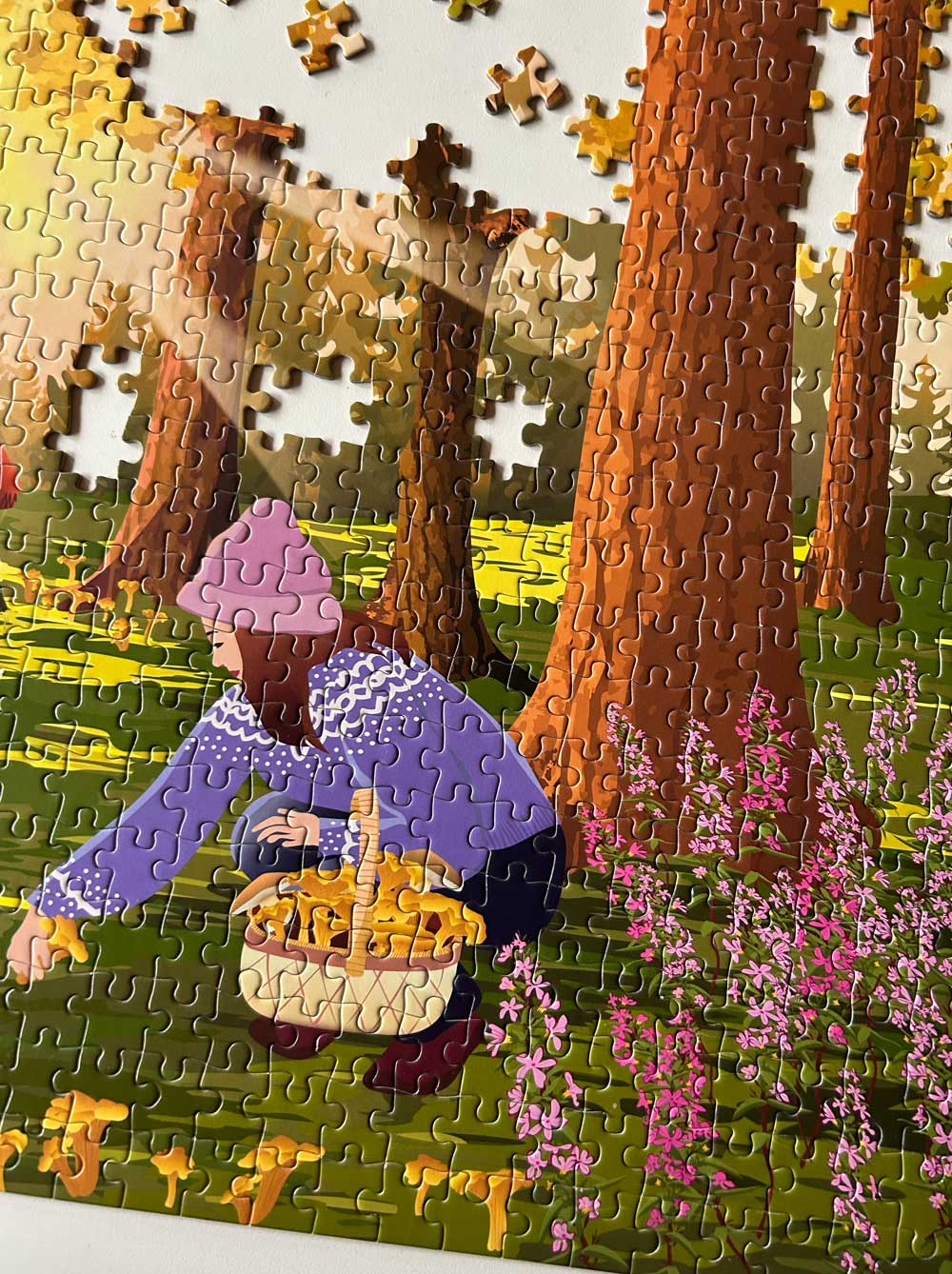 Vissevasse Puzzel Forest treasures