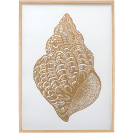 Monika Petersen Lino Print Konkylie-Conch Gold/Sand 50x70 cm