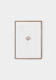 Inkylines Gingko A4 print