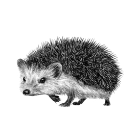 Fine Forest Egel muursticker