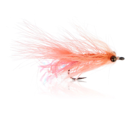 Kombardo (Salmon Pink)