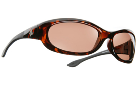 Cocoons Quattro Sunglasses