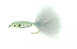 Janssen's Minnow