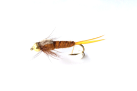 stonefly beadhead