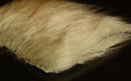 Polar Hair (A. Jensen)