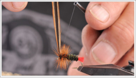 Red Tag Dry Fly