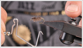 Simple Sow Bug