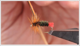 Red Tag Dry Fly