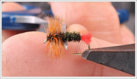 Red Tag Dry Fly