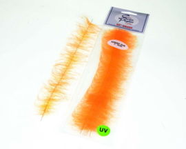 EP Shrimp Brush (UV) 6pcs