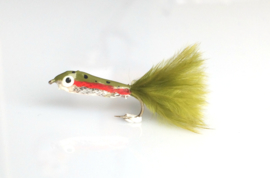 Janssen's Minnow