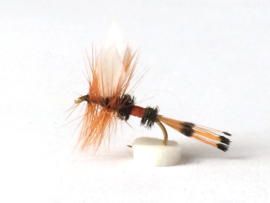 Dry Fly Set (30pcs)