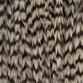 Ewing Rooster Cape