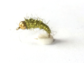 Goldschmitt  Nymph