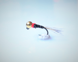 Tungsten Perdigon BL Jig Nymph