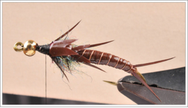 Bull Stonefly Part II