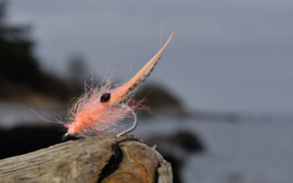Whiting Spey Soft Hackle with Chickabou