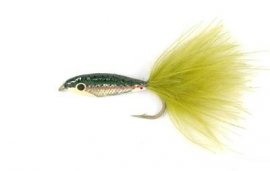 Janssen's Minnow