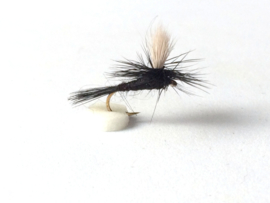 Parachute black gnat