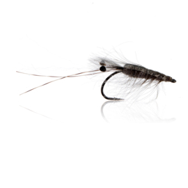 Grey CDC Shrimp