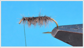 Simple Sow Bug