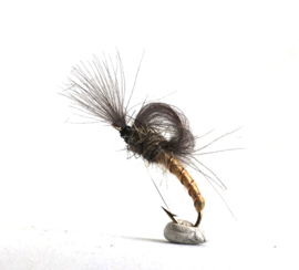 CDC Loop Emerger